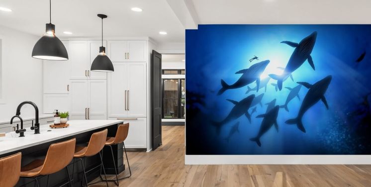 Fish Wallpaper & Sea Life Wall Murals | Wallsauce UK