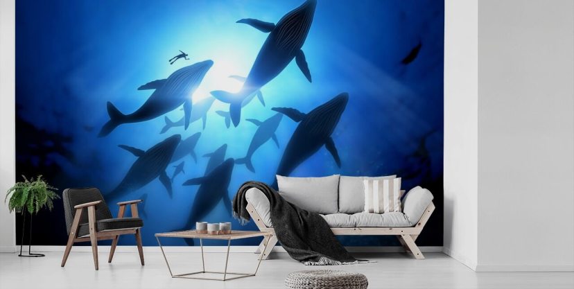 Fish Wallpaper and Sea Life Wall Murals | Wallsauce US