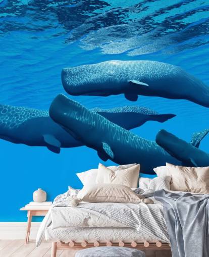 Sperm Whale Baggrund Sperm Whale Baggrund