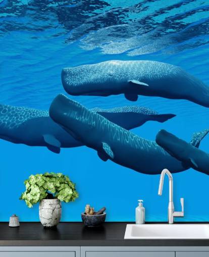 Papel de parede de cach Papel de parede de cach