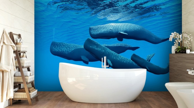 Sperm Whale Wallpaper
