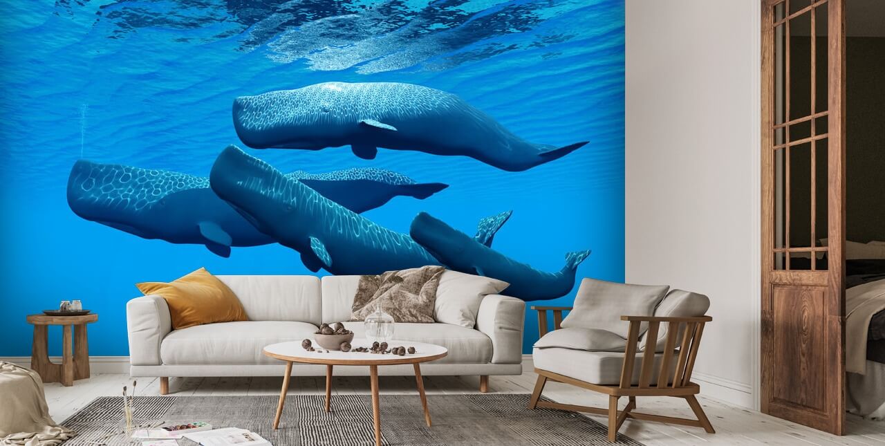 Sperm Whale Family Wallpaper | Wallsauce UK