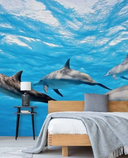 Dolphins in Ocean Wallpaper Dolphins in Ocean Wallpaper