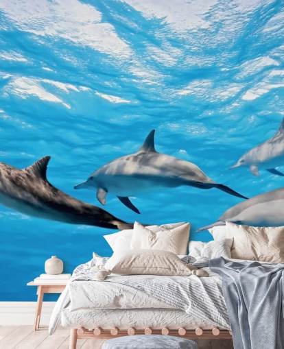 Fondo de pantalla Delfines en el océano Fondo de pantalla Delfines en el océano