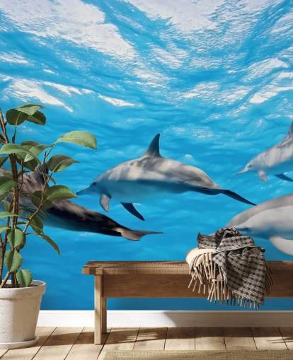 Fondo de pantalla Delfines en el océano Fondo de pantalla Delfines en el océano