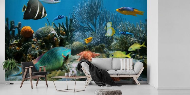Fische und Korallenriff Wallpaper