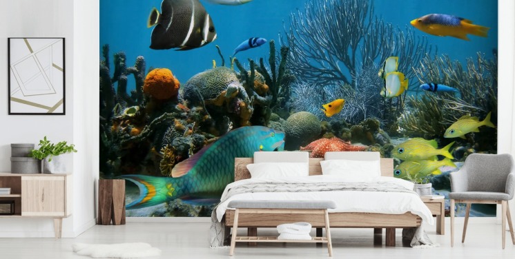 Fondo de pantalla de peces y arrecifes