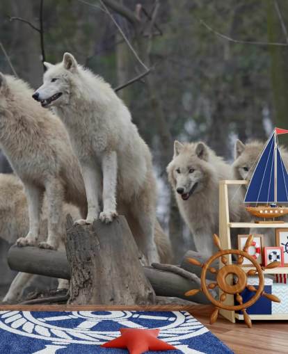 Hvid Wolf Pack Vægmaleri Hvid Wolf Pack Vægmaleri