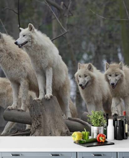 Weißes Wolfs-Pack Wandgemälde Weißes Wolfs-Pack Wandgemälde