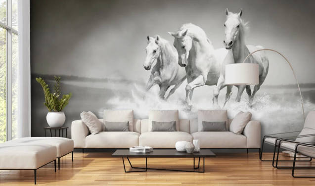 sort/hvid tilpasselig hestetapet kaldet Horses Black & White til virksomheder, stuer og køkkener