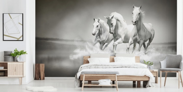 svartvit anpassningsbar hästtapet som heter Horses Black & White för företag, vardagsrum och kök