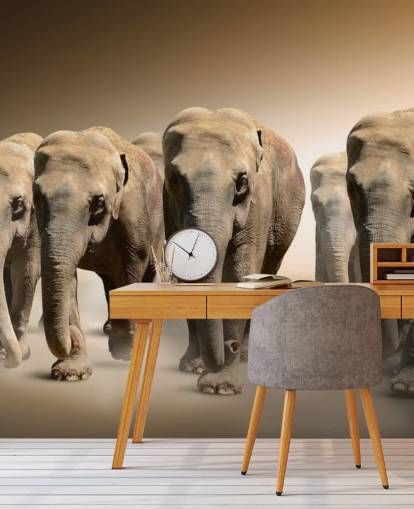 Elephabt Group Muurschildering Elephabt Group Muurschildering