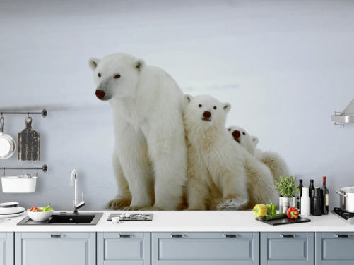 Polar Bear with Cubs Wallpaper