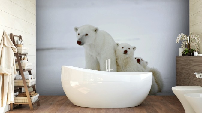 Papel pintado Oso polar con cachorros