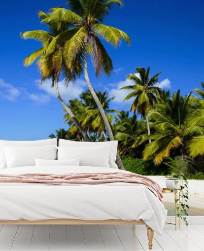 Palmier de plage dominicain Dominican Beach Palm Tree Wallpaper Palmier de plage dominicain Dominican Beach Palm Tree Wallpaper