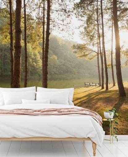 Forest by Lake Wallpaper Forest by Lake Wallpaper