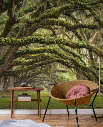 Hangende Mossy Oak Trees Tunnel Behang Hangende Mossy Oak Trees Tunnel Behang