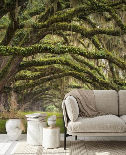 Hengende mosegrodd eik trær Tunnel Bakgrunn Hengende mosegrodd eik trær Tunnel Bakgrunn