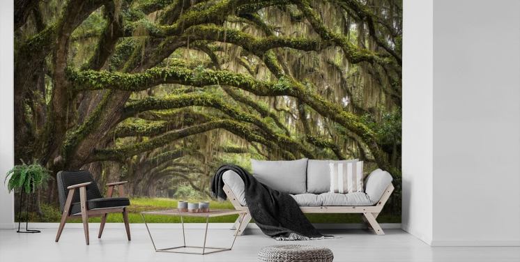 Papier peint tunnel suspendu Mossy Oak Trees