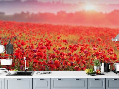 rødt blomstertapet vægmaleri kaldet Red Poppy Sunrise til lounger og soveværelser