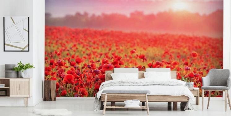 röd blommig tapetväggmålning kallad Red Poppy Sunrise för lounger och sovrum