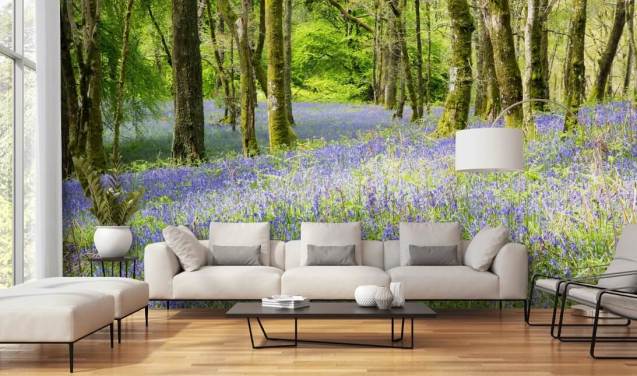 Nature Wallpaper | Wallsauce US