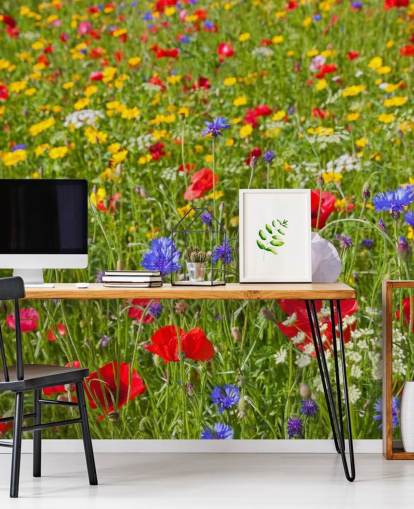 Colourful Meadow Flowers Wallpaper Colourful Meadow Flowers Wallpaper