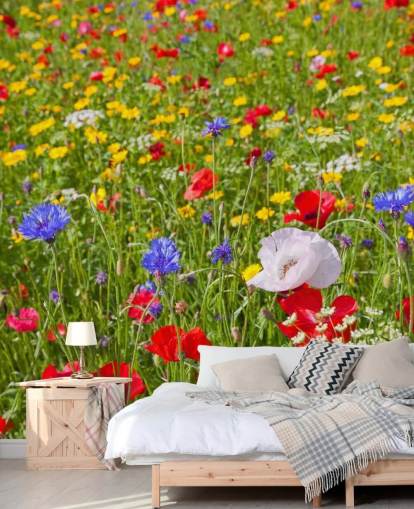 Colourful Meadow Flowers Wallpaper Colourful Meadow Flowers Wallpaper