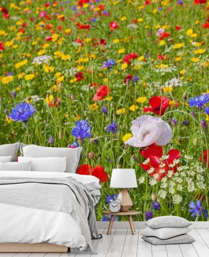 Farverige Meadow Blomster Baggrund Farverige Meadow Blomster Baggrund