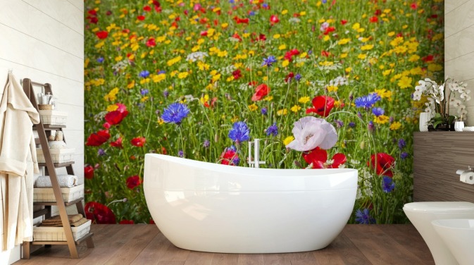 Färgglada ängblommor Bakgrund