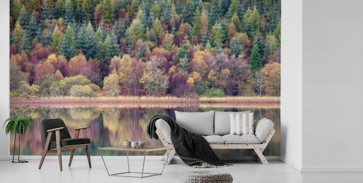 Autumn Forest Lake Wallpaper