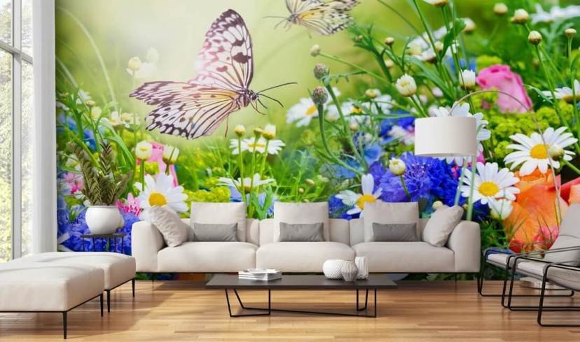 Care Home Wallpaper & Wall Murals | Wallsauce US