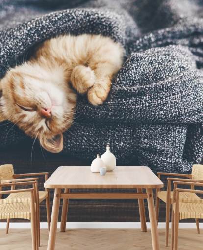 ingefära kattunge sover på grå filt ingefära kattunge sover på grå filt