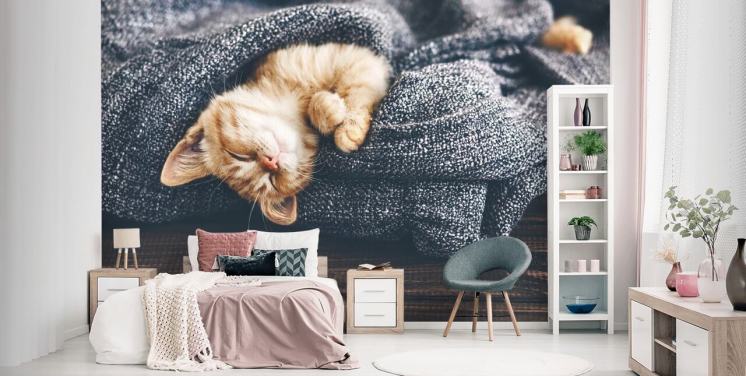 ginger kitten asleep on grey blanket