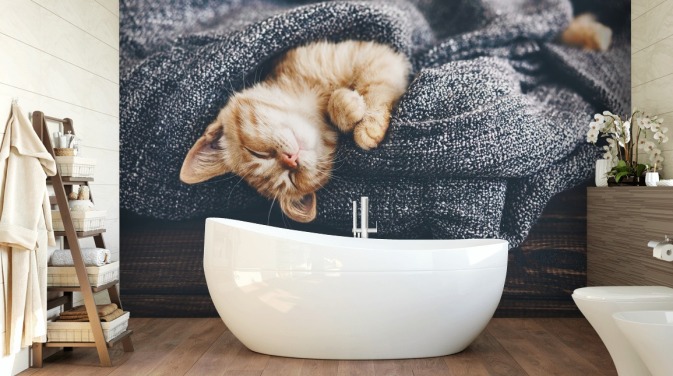 ginger kitten slaapt op grijze deken