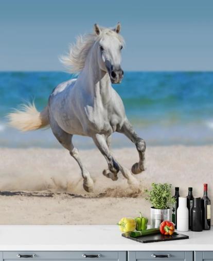 Mural de caballo blanco corriendo por la playa Mural de caballo blanco corriendo por la playa