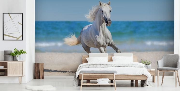 Mural de cavalo branco correndo na praia