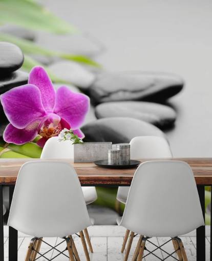 Koppla av i naturen Relaxing in Nature Wallpaper Koppla av i naturen Relaxing in Nature Wallpaper