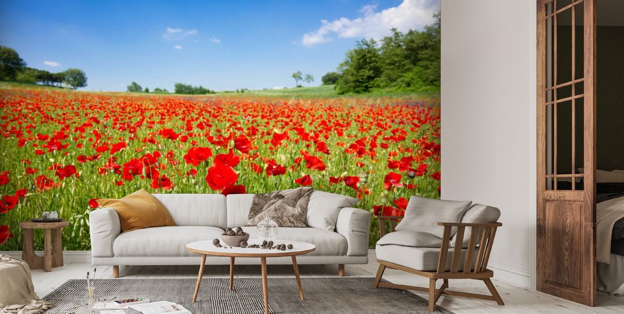 Poppy field Tapet Väggmålning