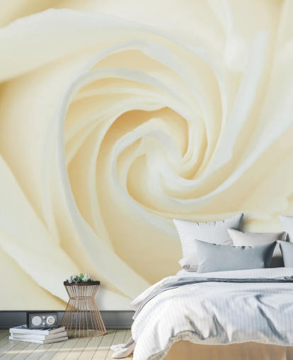 Close up of White Rose Wall Mural Close up of White Rose Wall Mural