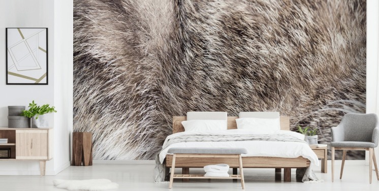 Wild Cat Fur Baggrund Mural 