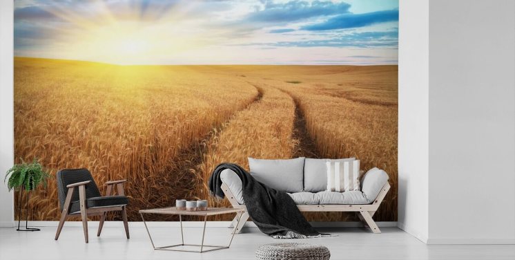 Meadow of Wheat Countryside Wallpaper