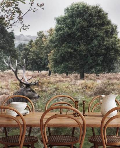 Einsamer Hirsch im Nationalpark Tapete Einsamer Hirsch im Nationalpark Tapete