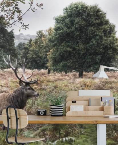 Carta da parati con cervo solitario nel parco nazionale Carta da parati con cervo solitario nel parco nazionale
