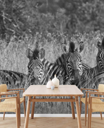 Zebras Huddled Together Wall Mural Zebras Huddled Together Wall Mural