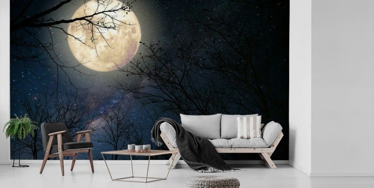 Décoration murale ciel étoilé bleu marine avec lune au-dessus de la forêt