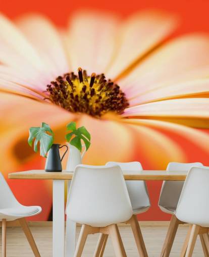 Large Orange Flower Wallpaper Large Orange Flower Wallpaper