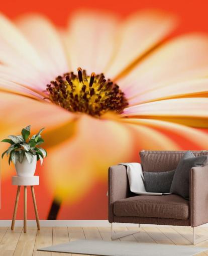 Large Orange Flower Wallpaper Large Orange Flower Wallpaper