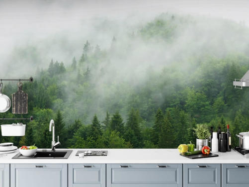 Mist over the Forest Forest Wallpaper