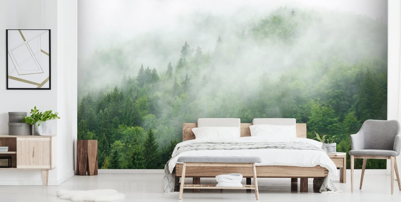 Mist over the Forest Forest Wallpaper